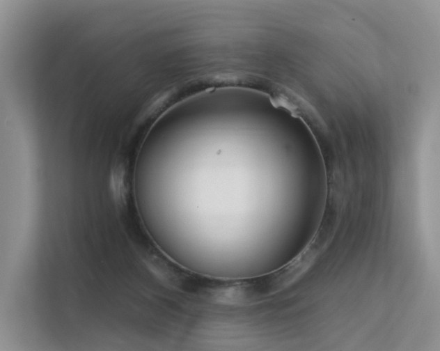 X0000112160116200908071146