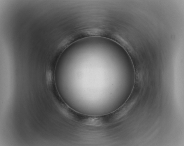 X0000112160117200908071146