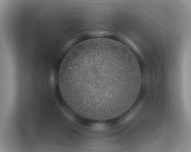 X0000112160119200908071146