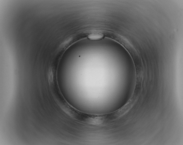 X0000112160120200908071146