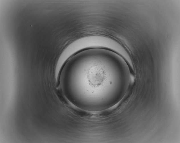 X0000112160121200908071146