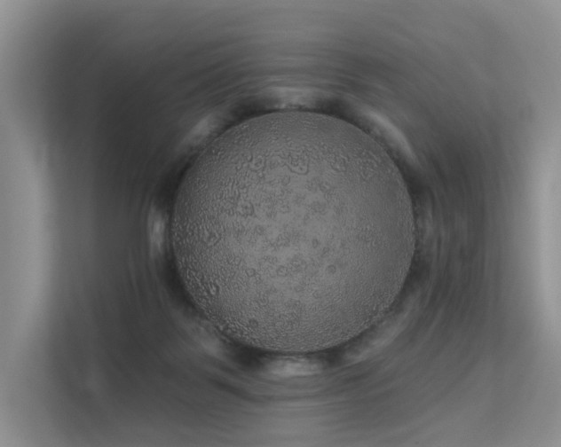 X0000112160123200908071146