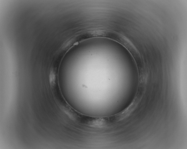 X0000112160124200908071146