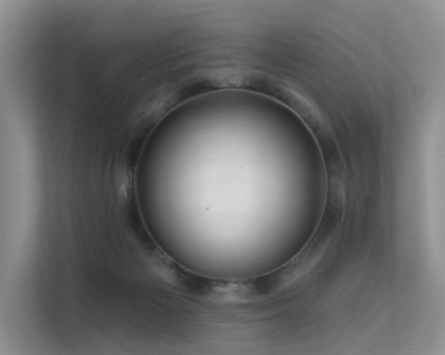 X0000112160125200908071146
