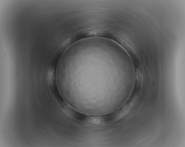 X0000112160127200908071146