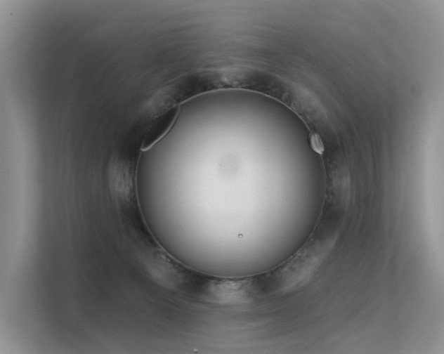 X0000112160129200908071146