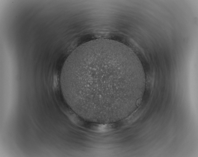 X0000112160130200908071146