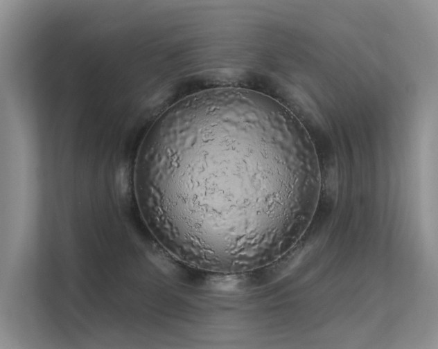 X0000112160131200908071146