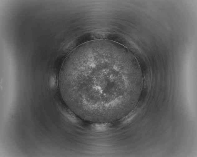 X0000112160134200908071146