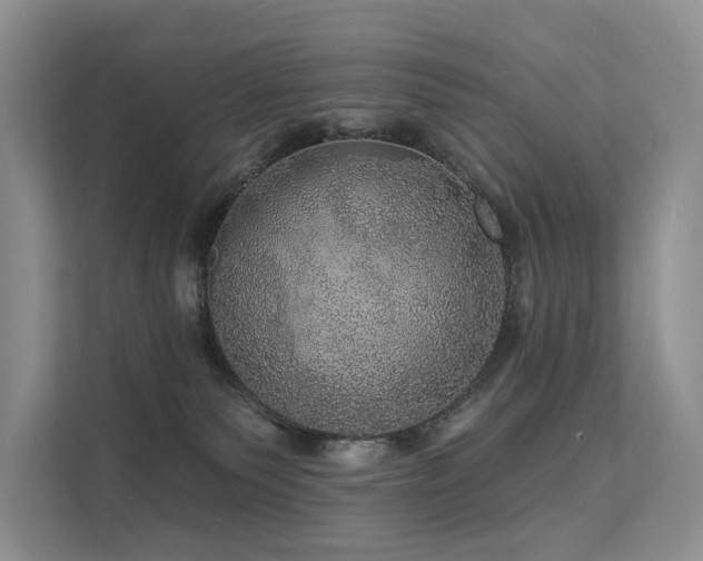 X0000112160135200908071146