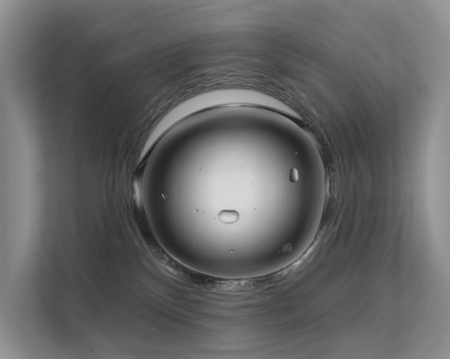 X0000112160136200908071146
