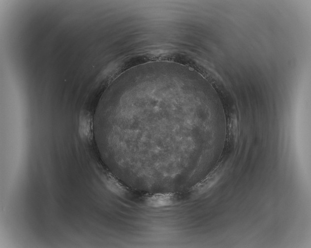 X0000112160138200908071146