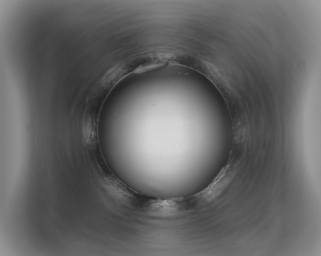 X0000112160140200908071146