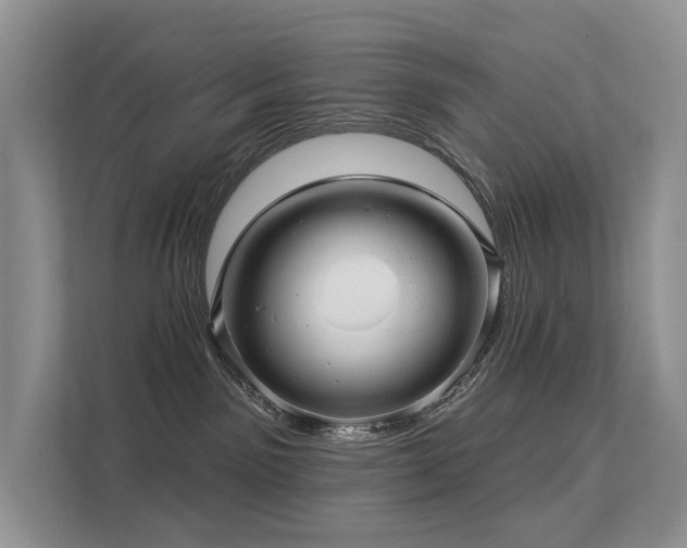 X0000112160141200908071145