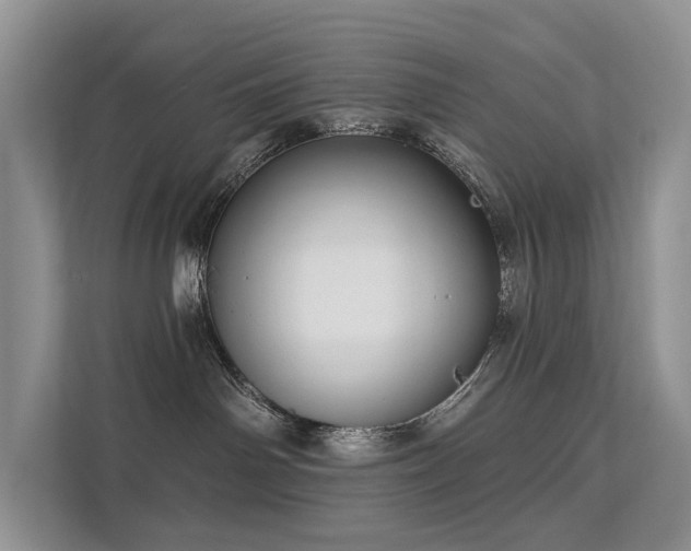 X0000112160142200908071145