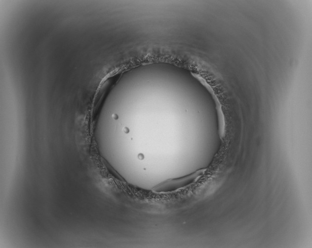 X0000112160144200908071145