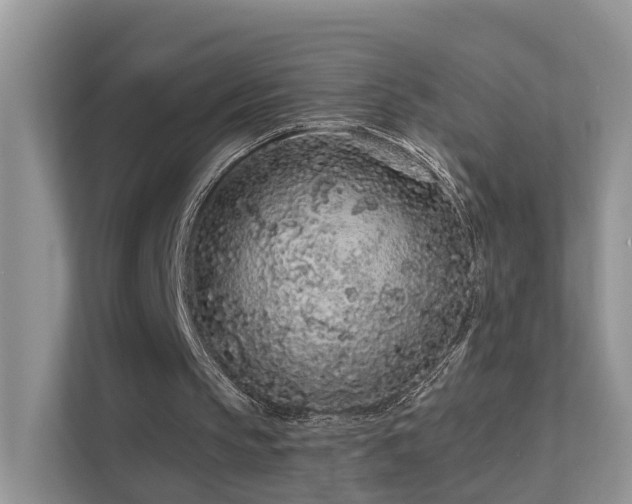 X0000112160145200908071145