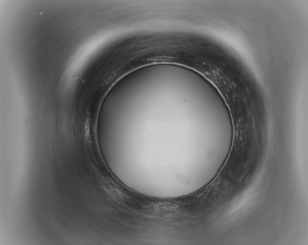 X0000112160146200908071145