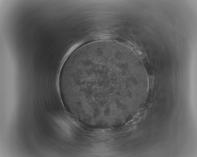X0000112160147200908071145