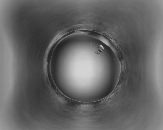 X0000112160150200908071145
