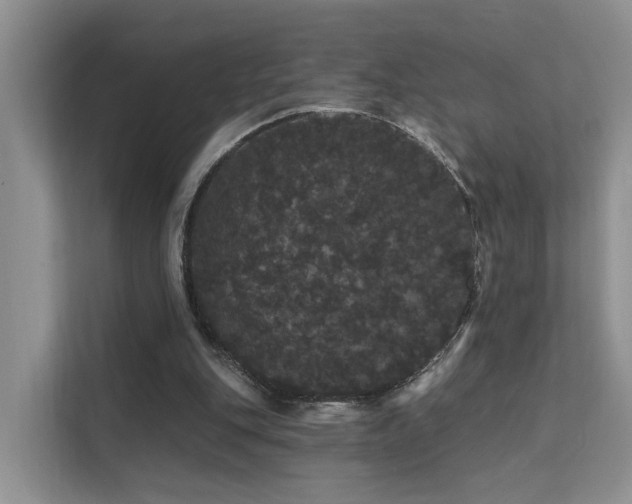 X0000112160151200908071145