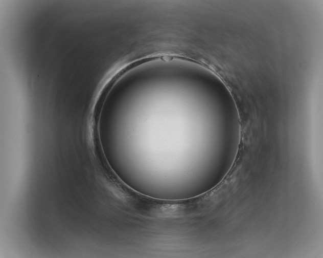 X0000112160152200908071145