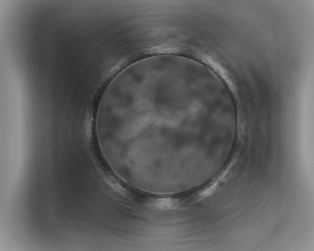 X0000112160153200908071145