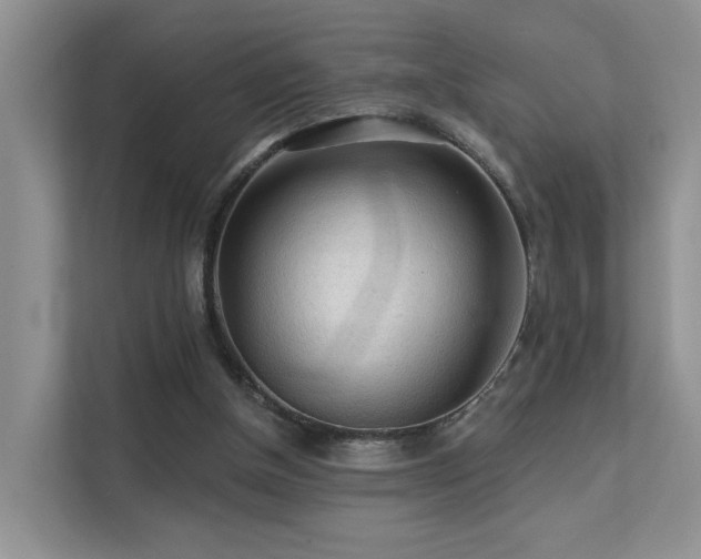 X0000112160154200908071145