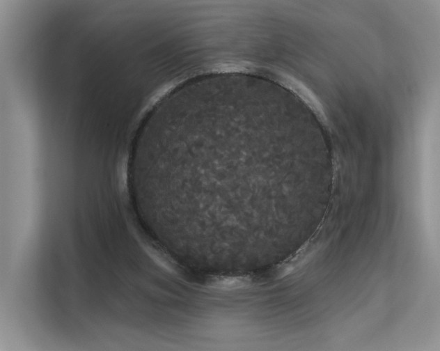 X0000112160155200908071145
