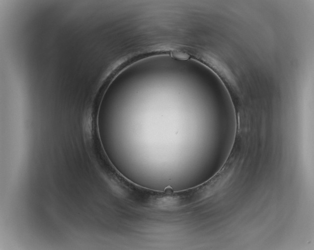 X0000112160156200908071145