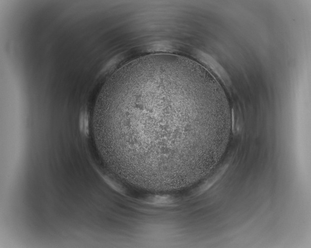 X0000112160157200908071145