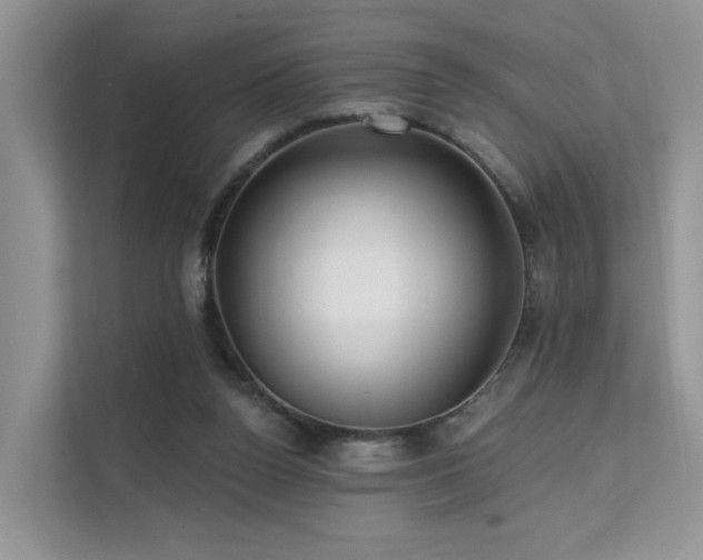 X0000112160160200908071145