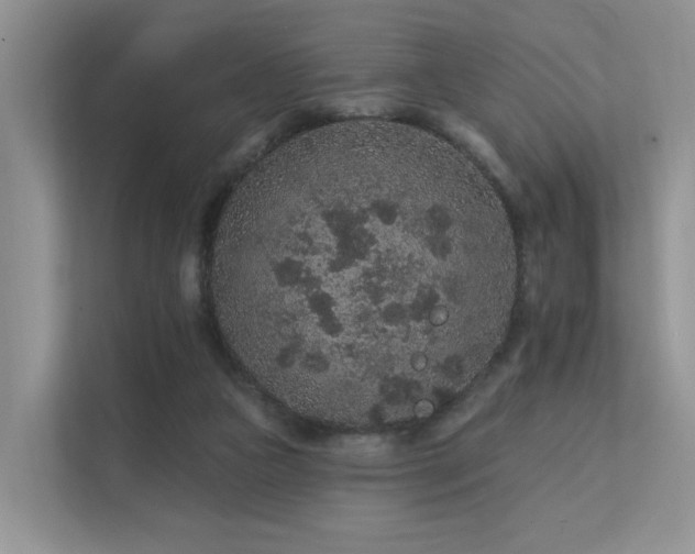 X0000112160161200908071145