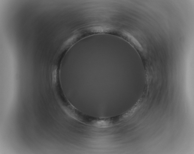 X0000112160163200908071145