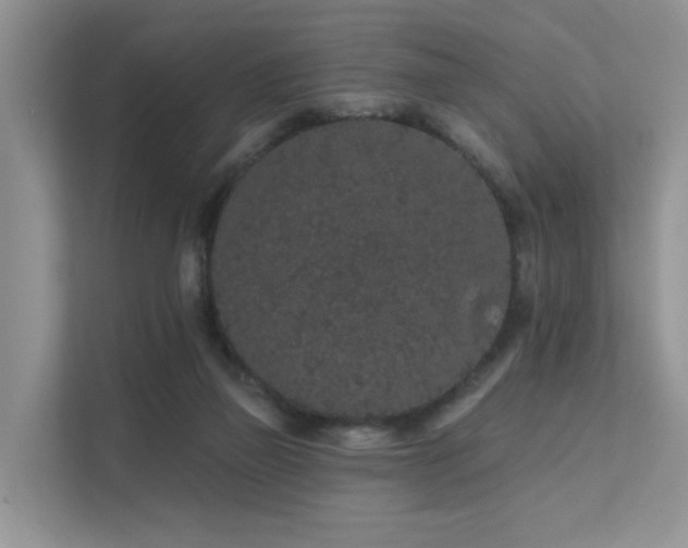 X0000112160165200908071145