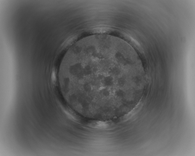 X0000112160166200908071145
