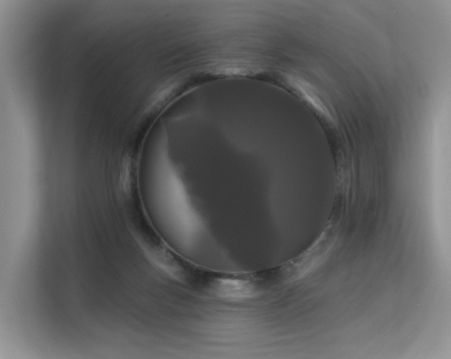 X0000112160167200908071145