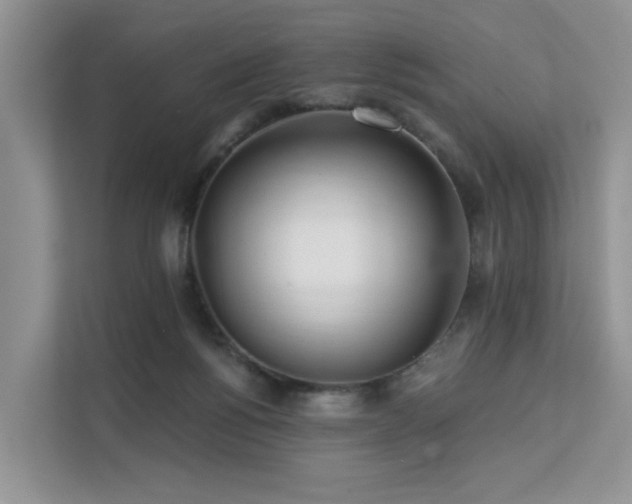 X0000112160168200908071145