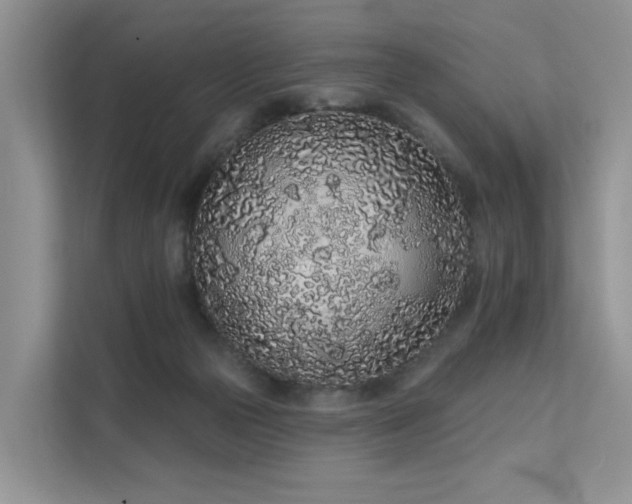 X0000112160169200908071145