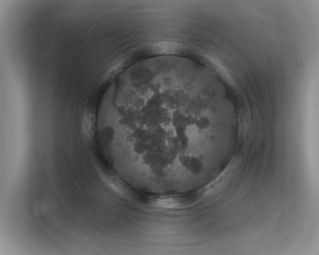 X0000112160171200908071145