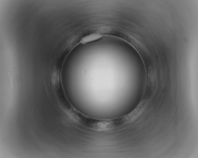 X0000112160172200908071145