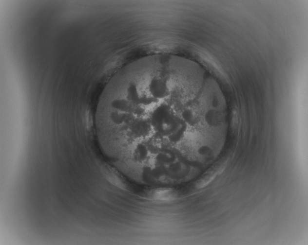X0000112160173200908071145