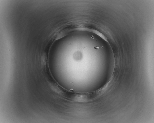 X0000112160174200908071145