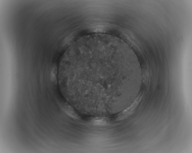 X0000112160175200908071145
