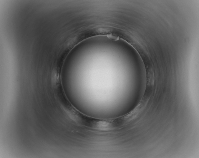 X0000112160176200908071145