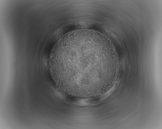 X0000112160178200908071145