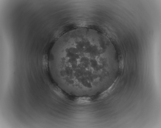 X0000112160179200908071145