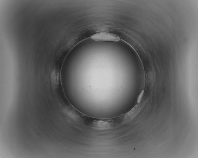 X0000112160180200908071145