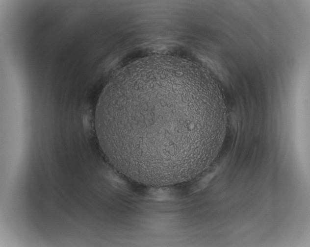 X0000112160181200908071145