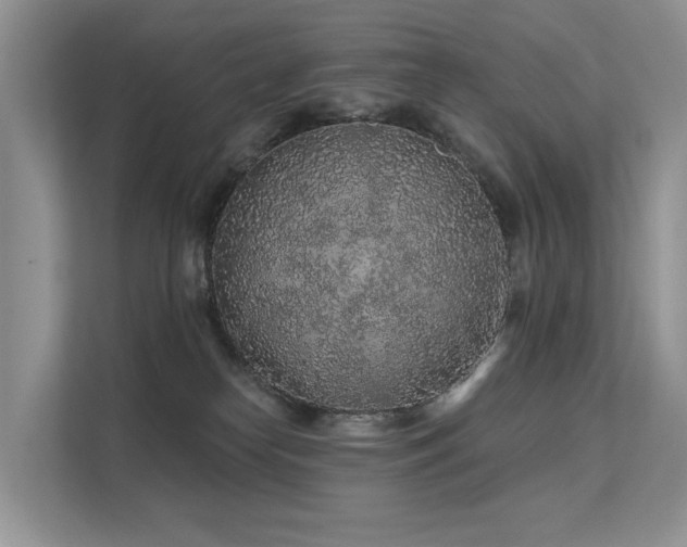 X0000112160182200908071145